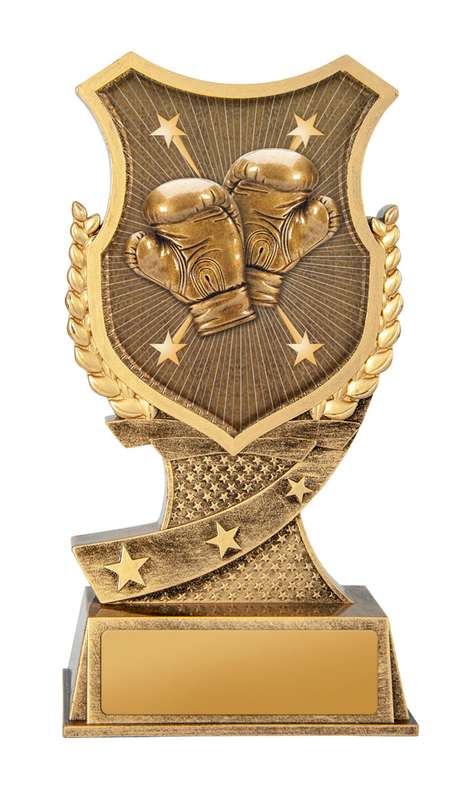 Shield Stand-Boxing