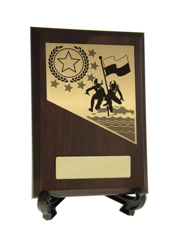 Plaque with Lifesaving Trim
